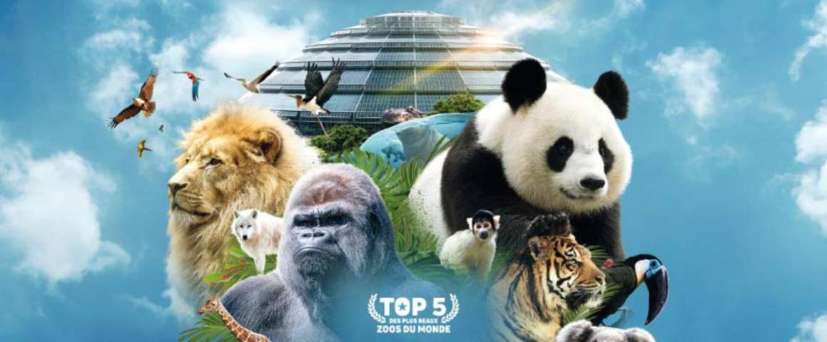 Gite De Nounours A Beauval Seigy Ngoại thất bức ảnh